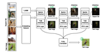 [Topic] Few-shot Learning and Model Adaptation